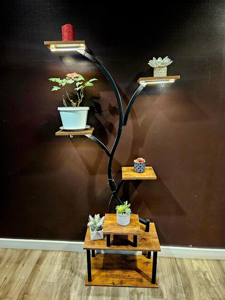 mind and body care medspa in Schaumburg IL